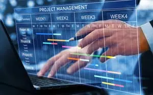 IT Project Management Degree IT Project Management Degree