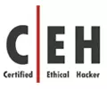 Certified Ethical Hacker training online