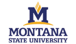 Montana State University Montana State University logo
