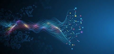 Network Admin Certification Path