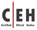 Certified Ethical Hacker training online